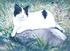 Cat Portrait - Julia Ciccone
