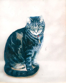 Cat Portrait - Julia Ciccone