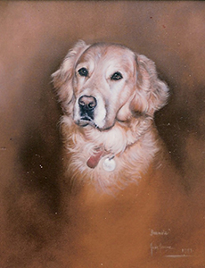 Dog Portrait - Julia Ciccone