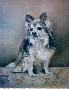 Dog Portrait - Julia Ciccone