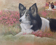 Dog Portrait - Julia Ciccone