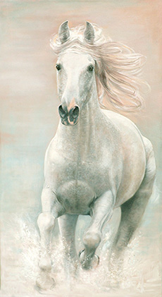 Horse Portrait - Julia Ciccone