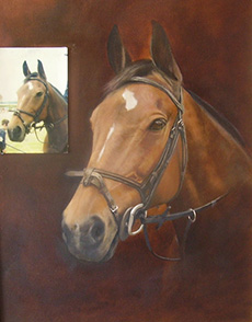 Horse Portrait - Julia Ciccone